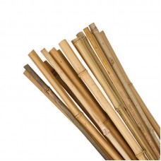 Bamboo Canes 25pk Bamboo Canes 25pk